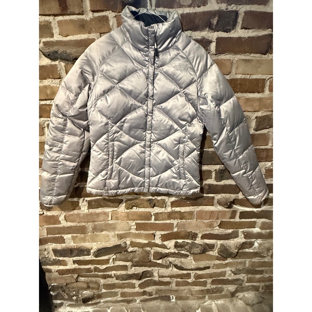 The North Face Puffer Jacket Womens Small Silver Gorpcore Clean Girl Down Coat